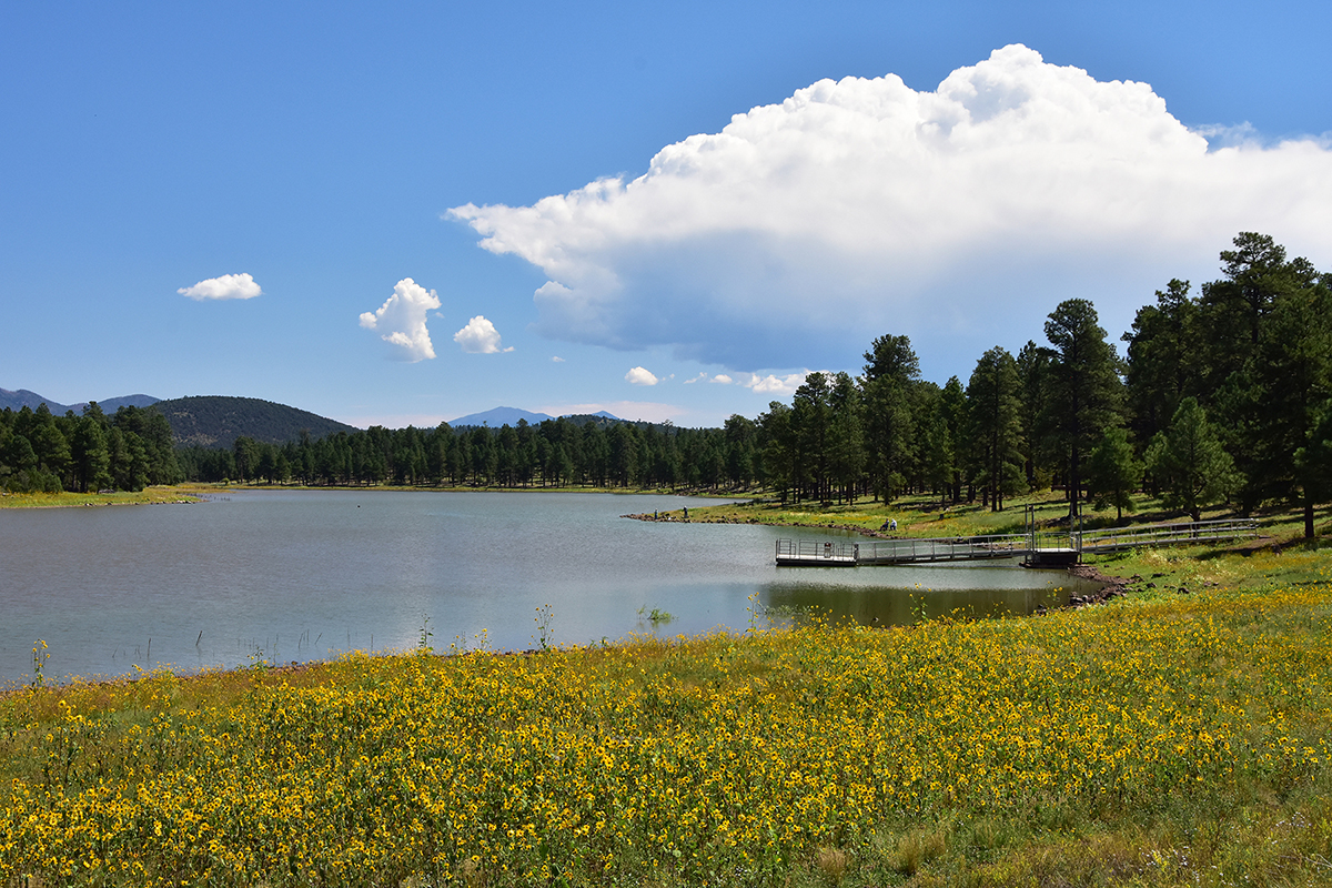 Kaibab Lake Campground and Group Areas